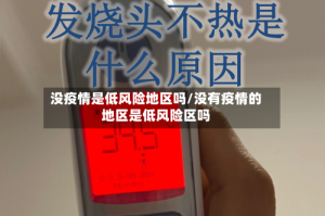没疫情是低风险地区吗/没有疫情的地区是低风险区吗