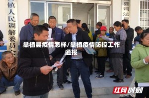 桑植县疫情怎样/桑植疫情防控工作通报