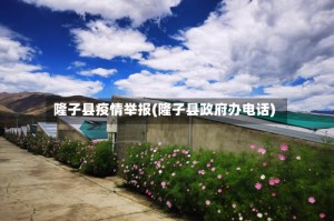 隆子县疫情举报(隆子县政府办电话)