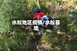 水松地区疫情/水松基地
