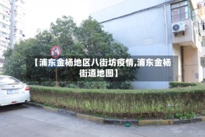 【浦东金杨地区八街坊疫情,浦东金杨街道地图】