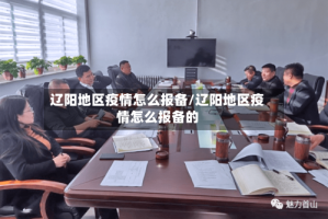 辽阳地区疫情怎么报备/辽阳地区疫情怎么报备的
