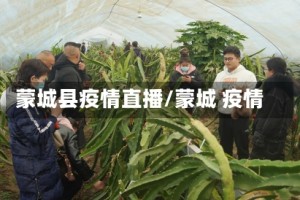 蒙城县疫情直播/蒙城 疫情