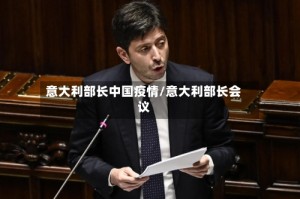意大利部长中国疫情/意大利部长会议