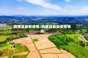 桐楼县最新疫情/桐楼县最新疫情情况