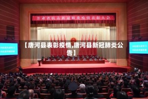 【唐河县表彰疫情,唐河县新冠肺炎公告】