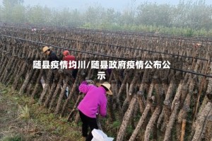 随县疫情均川/随县政府疫情公布公示