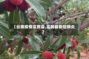 【云南疫情富民县,富民县新冠肺炎】
