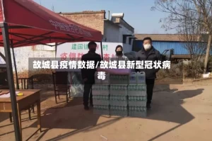 故城县疫情数据/故城县新型冠状病毒