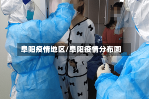 阜阳疫情地区/阜阳疫情分布图