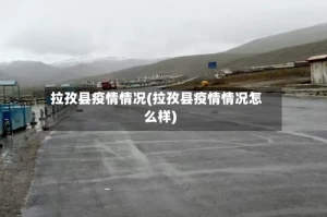 拉孜县疫情情况(拉孜县疫情情况怎么样)