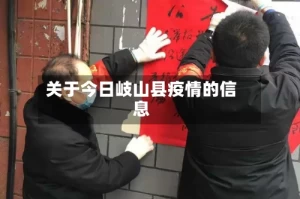 关于今日岐山县疫情的信息