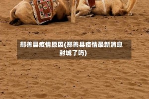 鄯善县疫情原因(鄯善县疫情最新消息封城了吗)