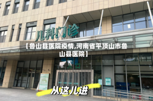 【鲁山县医院疫情,河南省平顶山市鲁山县医院】