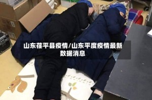 山东荏平县疫情/山东平度疫情最新数据消息