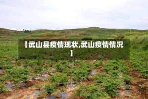 【武山县疫情现状,武山疫情情况】