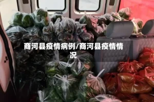 商河县疫情病例/商河县疫情情况