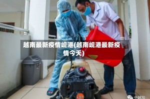 越南最新疫情岘港(越南岘港最新疫情今天)