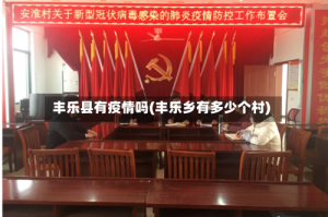 丰乐县有疫情吗(丰乐乡有多少个村)