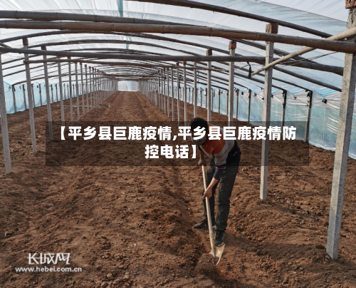 【平乡县巨鹿疫情,平乡县巨鹿疫情防控电话】-第1张图片