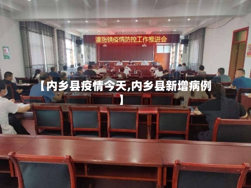 【内乡县疫情今天,内乡县新增病例】-第2张图片