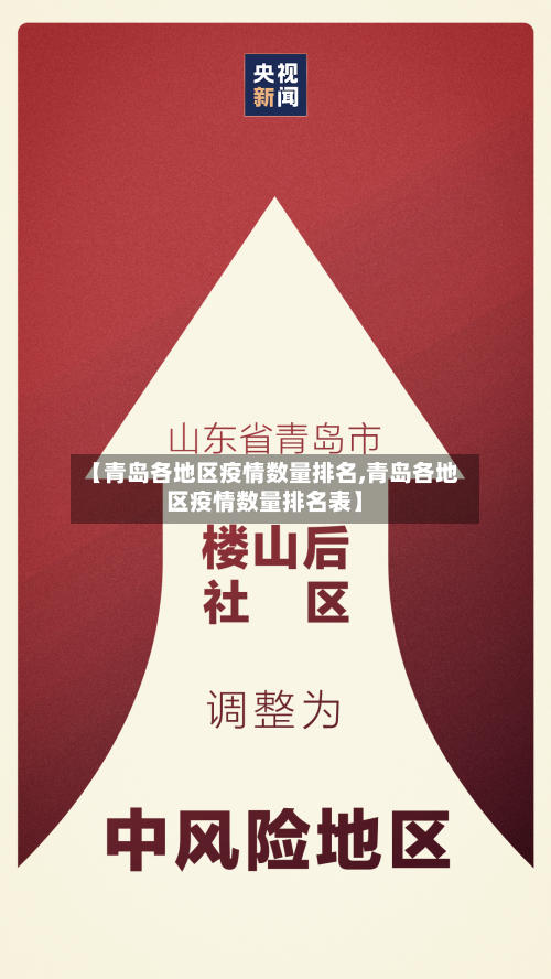 【青岛各地区疫情数量排名,青岛各地区疫情数量排名表】-第3张图片