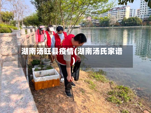 湖南汤旺县疫情(湖南汤氏家谱)-第2张图片