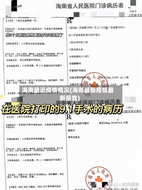 海南最近疫情情况(海南最新疫情最新报告)-第2张图片
