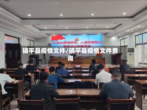 镇平县疫情文件/镇平县疫情文件查询-第2张图片