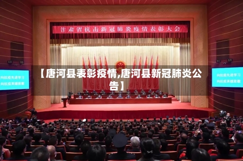 【唐河县表彰疫情,唐河县新冠肺炎公告】-第1张图片
