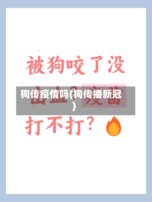 狗传疫情吗(狗传播新冠)-第2张图片