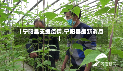 【宁阳县支援疫情,宁阳县最新消息】-第2张图片