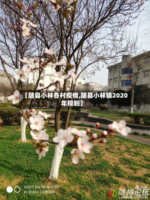 【随县小林各村疫情,随县小林镇2020年规划】-第3张图片