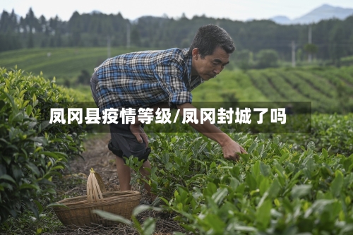 凤冈县疫情等级/凤冈封城了吗-第1张图片