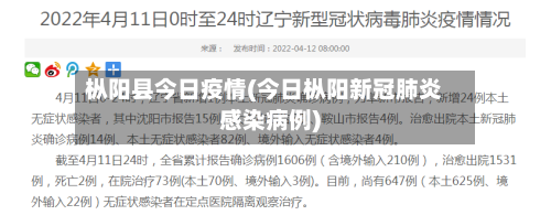 枞阳县今日疫情(今日枞阳新冠肺炎感染病例)-第2张图片