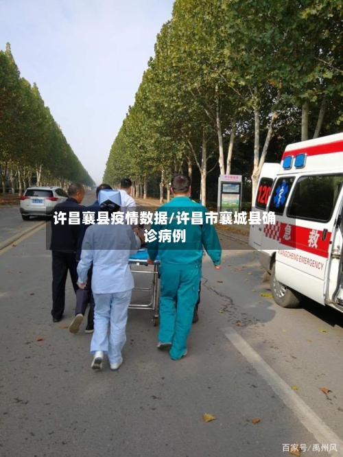 许昌襄县疫情数据/许昌市襄城县确诊病例-第2张图片