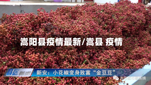 嵩阳县疫情最新/嵩县 疫情-第1张图片