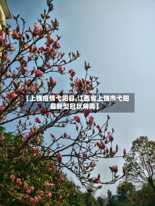 【上饶疫情弋阳县,江西省上饶市弋阳县新型冠状病毒】-第3张图片