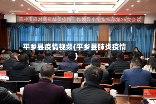 平乡县疫情视频(平乡县肺炎疫情)-第1张图片