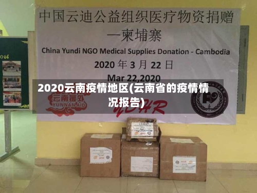 2020云南疫情地区(云南省的疫情情况报告)-第3张图片