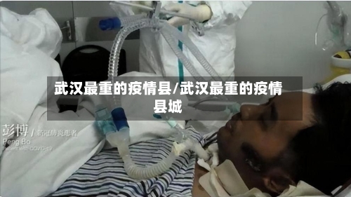 武汉最重的疫情县/武汉最重的疫情县城-第3张图片