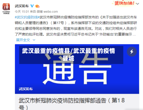 武汉最重的疫情县/武汉最重的疫情县城-第2张图片