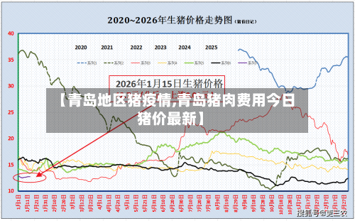 【青岛地区猪疫情,青岛猪肉费用今日猪价最新】-第1张图片