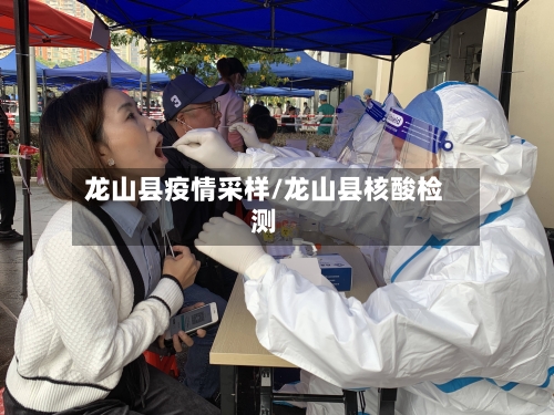 龙山县疫情采样/龙山县核酸检测-第3张图片