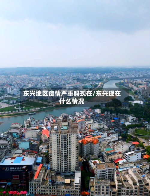 东兴地区疫情严重吗现在/东兴现在什么情况-第1张图片