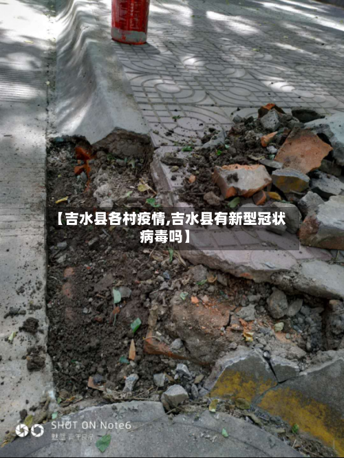 【吉水县各村疫情,吉水县有新型冠状病毒吗】-第2张图片