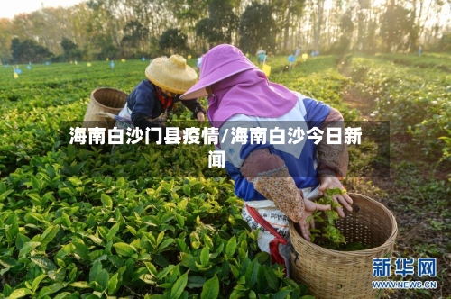 海南白沙门县疫情/海南白沙今日新闻-第1张图片