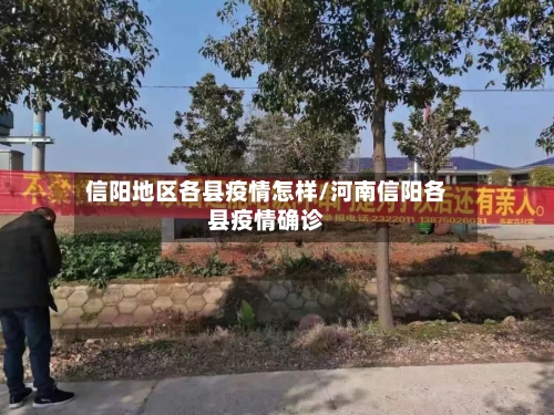 信阳地区各县疫情怎样/河南信阳各县疫情确诊-第2张图片