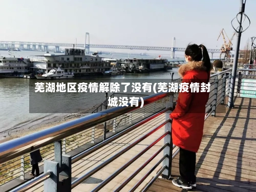 芜湖地区疫情解除了没有(芜湖疫情封城没有)-第1张图片