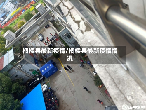 桐楼县最新疫情/桐楼县最新疫情情况-第3张图片